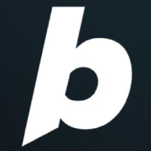 Bolt Logo